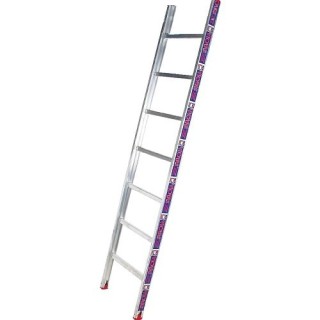 ΣΚΑΛΕΣ ΜΟΝΕΣ ΣΤΑΘΕΡΕΣ 10 ΣΚΑΛΙΑ