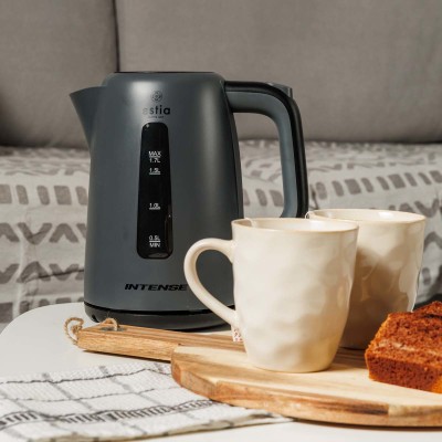 ESTIA ΒΡΑΣΤΗΡΑΣ INTENSE MISTY ΠΛΑΣΤΙΚΟΣ 2200w 1.7lt ΜΑΤ