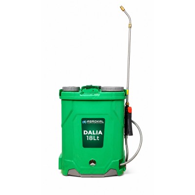 Elettra Dalia Plus+